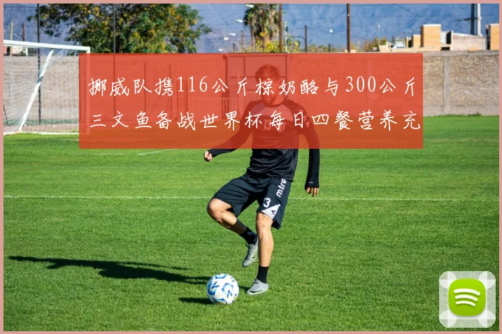 挪威队携116公斤棕奶酪与300公斤三文鱼备战世界杯每日四餐营养充足