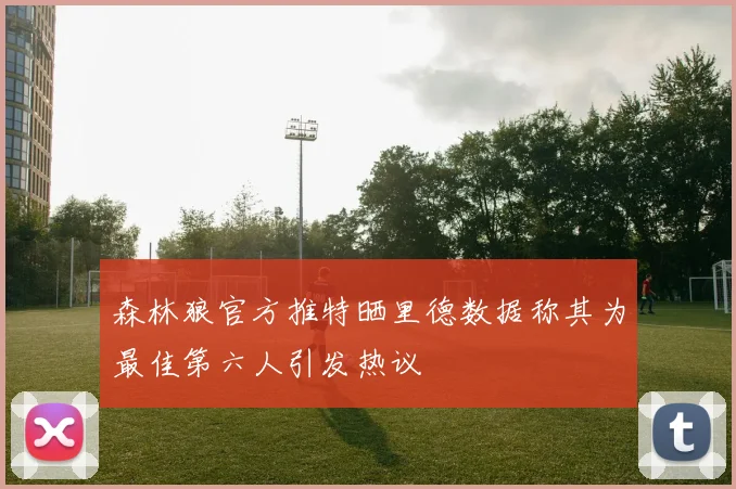 森林狼官方推特晒里德数据称其为最佳第六人引发热议