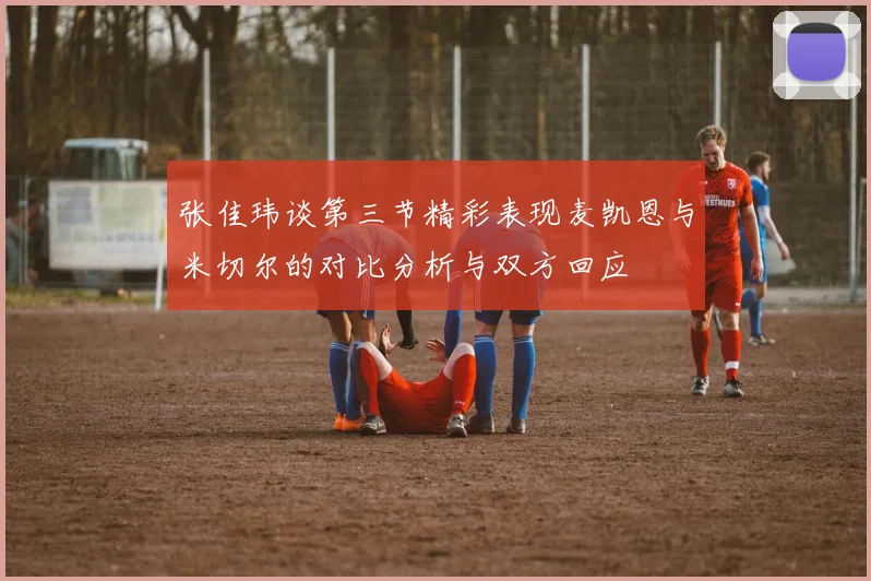 张佳玮谈第三节精彩表现麦凯恩与米切尔的对比分析与双方回应