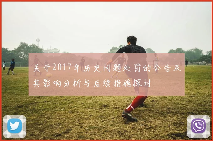 关于2017年历史问题处罚的公告及其影响分析与后续措施探讨